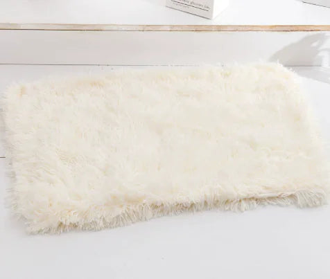 Tapis et Couverture Double en Peluche pour Animaux
