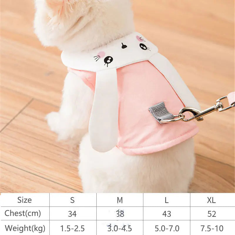 Harnais et Laisse pour Petits Chiens et Chats