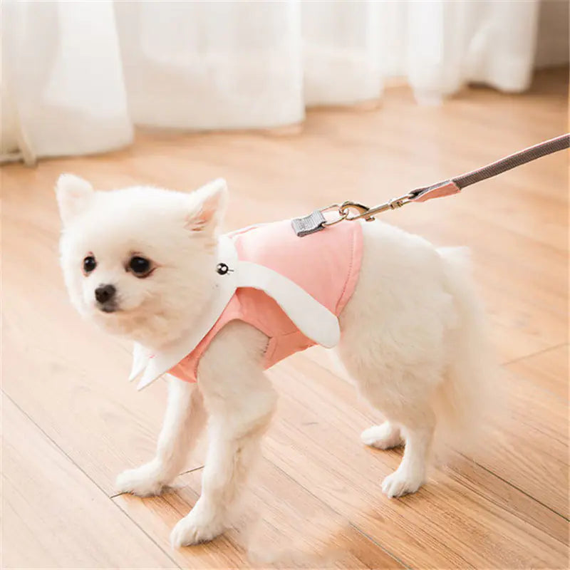 Harnais et Laisse pour Petits Chiens et Chats