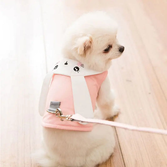 Harnais et Laisse pour Petits Chiens et Chats