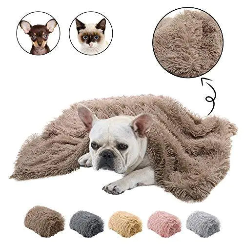 Tapis et Couverture Double en Peluche pour Animaux