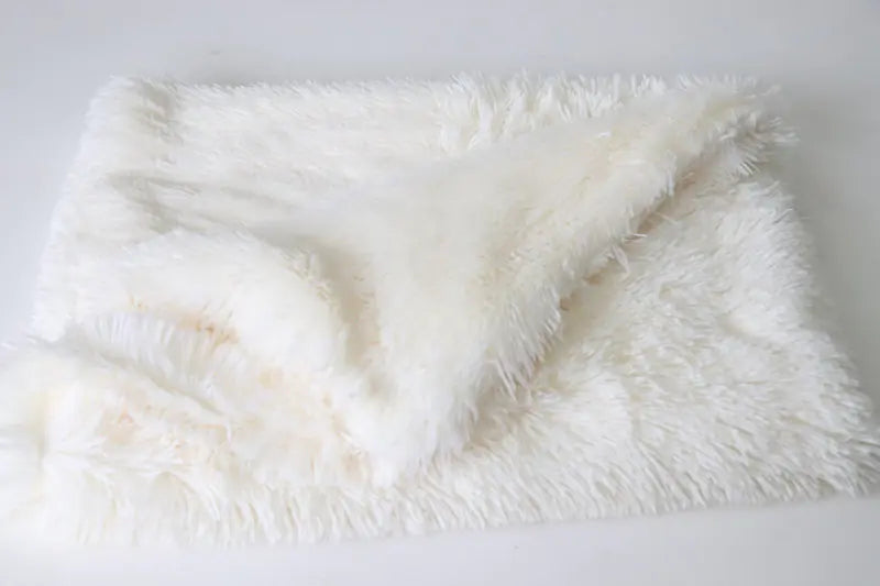Tapis et Couverture Double en Peluche pour Animaux